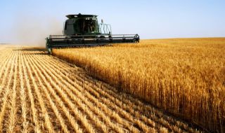 Молдова планира ограничения върху вноса на зърно от Украйна