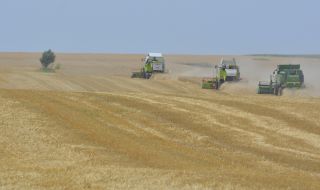 Украински заместник- министър: Руснаците са откраднали неколкостотин хиляди тона зърно