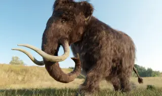 Учени установиха какво е довело до изчезването на мамутите