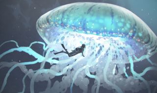 Гигантски медузи обитават водите край Антарктида (ВИДЕО)
