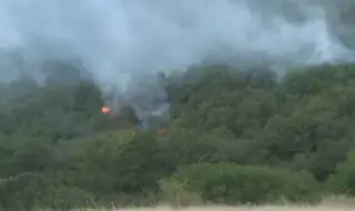 Огнеборци гасиха мащабни пожари в страната