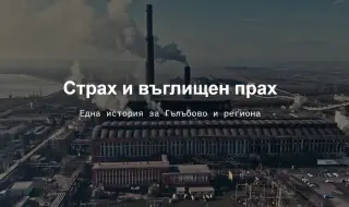 „Грийнпийс“ – България подарява въглищен прах на министъра на енергетиката