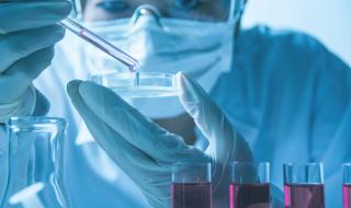 Шведски учени направиха сензационно откритие