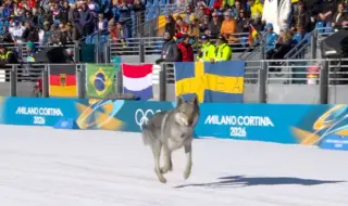 Куче - олимпиец се включи в Милано - Кортина 2026