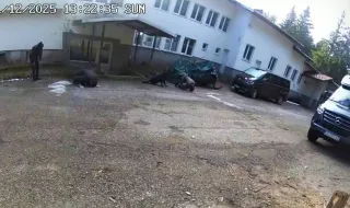 Готови са още две експертизи по делото за смъртта на шестима души край „Петрохан“ и Околчица