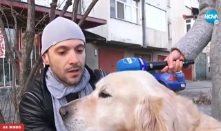 Мъж едва спаси себе си и кучето си от зъбите на питбул