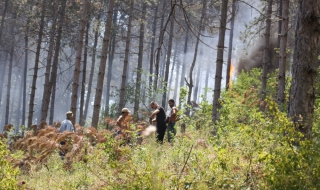Пожарът край Стара Загора е потушен