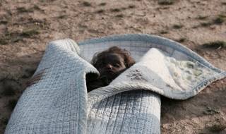 Всяка атака на ВВС на САЩ убива цивилни граждани