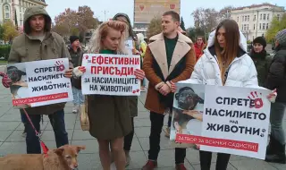 След прегазването на Мая: Протест пред ВМА иска по-строги наказания за насилие над животни
