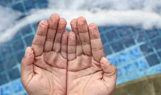 Защо кожата на пръстите ни се набръчква във водата?
