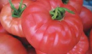 ЕК не е забранявала розовия домат „Биволско сърце“