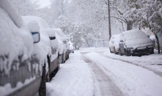 Еколог разкри какви опасности крие зимата без сняг