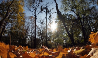 Слънчев уикенд