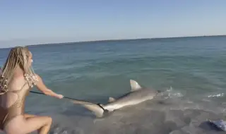 Блогърка улови акула и седна върху нея (ВИДЕО)