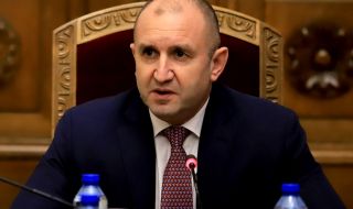 Сова Харис: Радев, Трифонов и Кубрат Пулев са най-харесваните политици