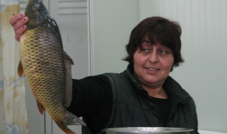 Най-продаваната риба за Никулден във Варна е скумрията и шарана