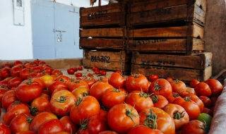 Притча: Изхвърлете гнилите домати