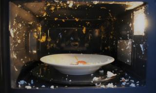 Защо яйцата експлодират в микровълнова печка?