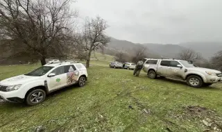 Разследват смъртта на седемте лешояда край Котел