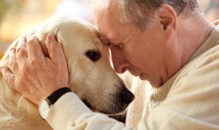 6 начина, по които хората изразяват любовта си