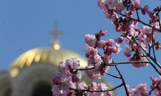 Днес ще е слънчево и топло