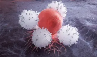 Пробив: Учени изобретиха роботи-мехури за борба с рака