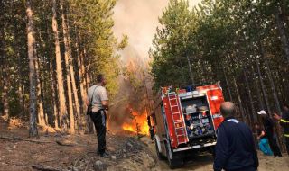 Обявиха пожароопасен сезон във всички горски области в страната
