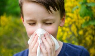 Всеки втори европеец с алергия до 2050 г.