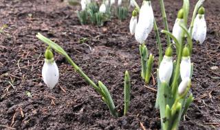 Слънчева неделя, до 18 градуса във вторник