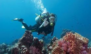 Топ 5 съвети за начинаещите гмуркачи