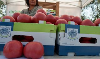 България в битка за розовия домат