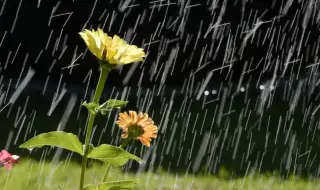 Времето днес, прогноза за сряда, 29 април: Значителна облачност, нахлува по-студен въздух