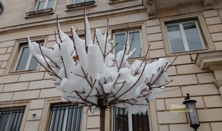 Какво се случва около вас?