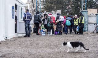 Над 4600 украински бежанци са започнали работа в Румъния