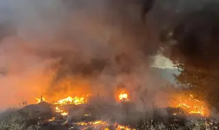 Голям пожар гори във Видинско