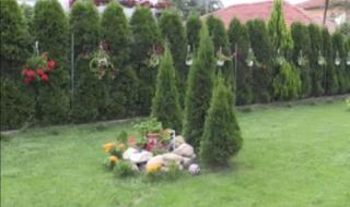 Конкурс за най-красив двор в кюстендилско село