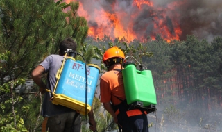 Локализираха пожар в резерват Соколна