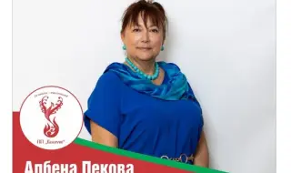 The chairman of "Velichie" Albena Pekova, deceived by Ivelin Mihailov, asked the National Assembly to pay her the subsid