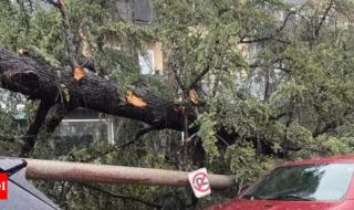 Поне 7 души загинаха в южните части на САЩ при силни бури