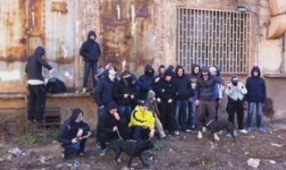 Това е бандата, която пребива хора в „Зона Б-5“ и насъсква питбули срещу тях