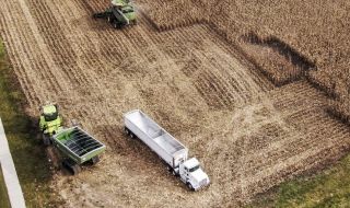 Държава ограничава износа на пшеница и брашно