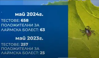 The examination of ticks goes entirely to private laboratories, and the approximate price is BGN 18 