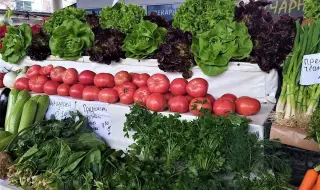 Потребителската кошница поевтиня с 2 лева