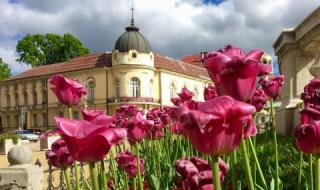 БАН потвърди: Не е имало отклонения в радиационния фон