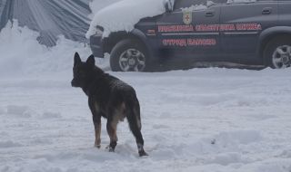 Отпускат 3 млн. лв. за екскурзоводи и планински водачи