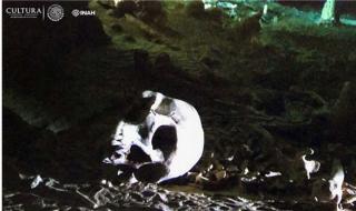 Череп с микрочип на 9 000 години е открит в подводна пещера