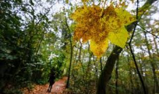 Облачността намалява