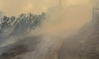 Голям пожар в Старозагорско, обявиха бедствено положение
