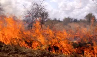 Голям пожар край Бургас