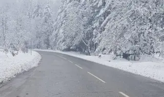 Отново затварят прохода „Петрохан“